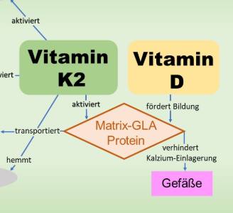 Vitamin K2 – der Knochenbooster und Gefäßreiniger